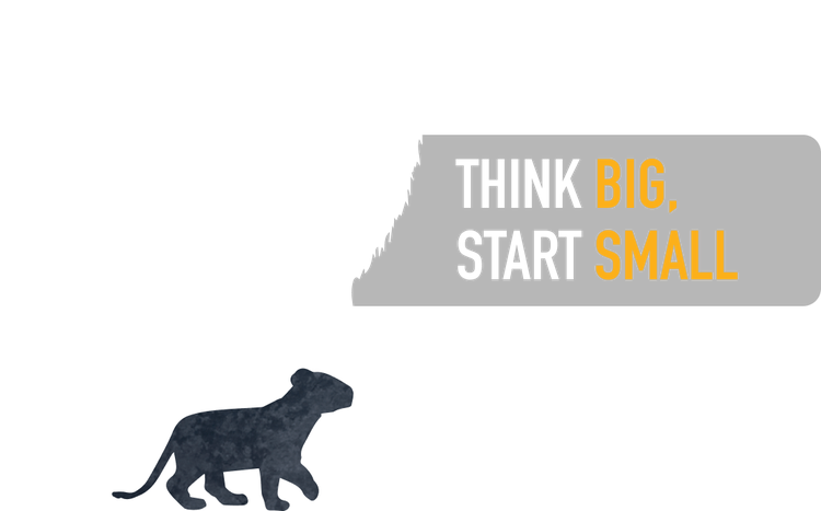 Small Cap Fund Desktop Image